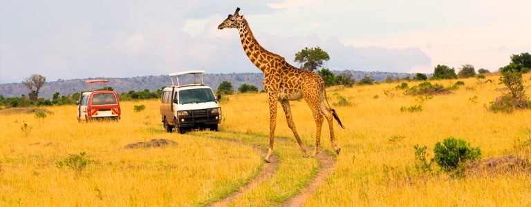 Masai Mara Reseguide