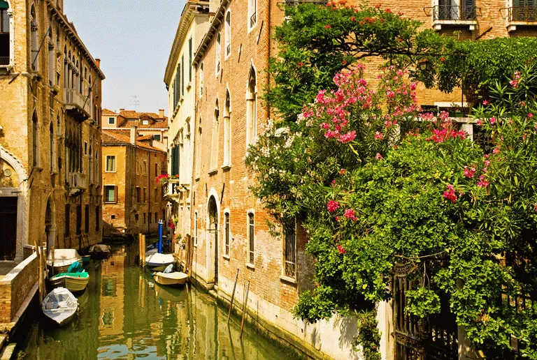 Bild av Venedig 