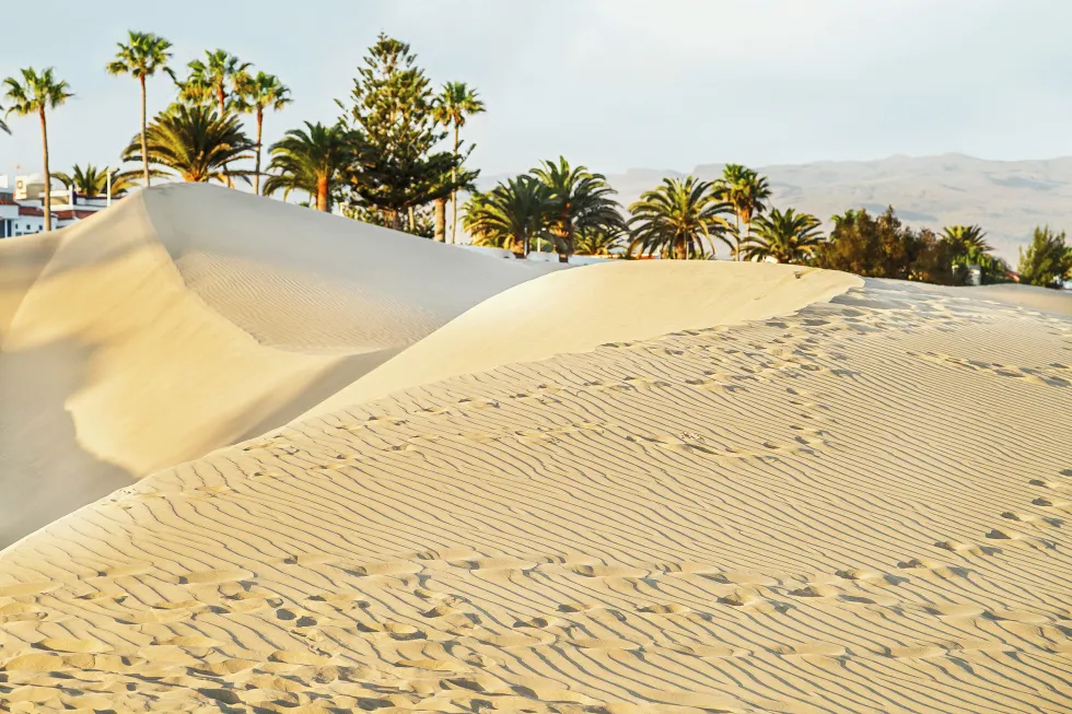Maspalomas sanddyner kallas ofta för Lilla Sahara 
