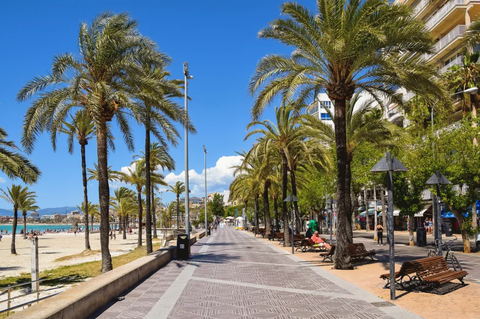 Den långa strandpromenaden med palmer i El Arenal 