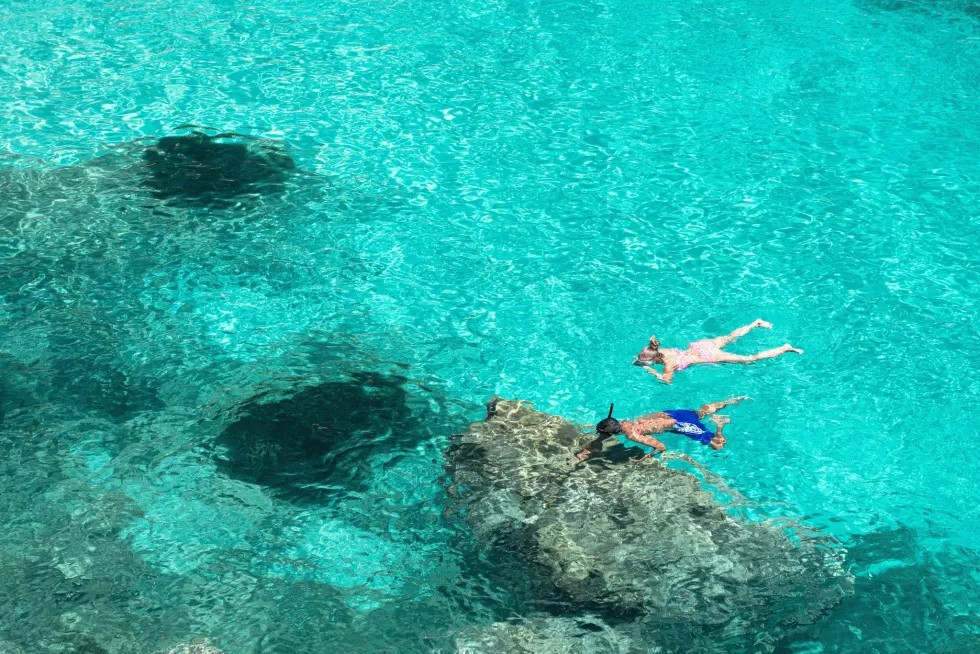 Snorkling i det kristallklara vattnet är en populär aktivitet i Cala Vinyes 